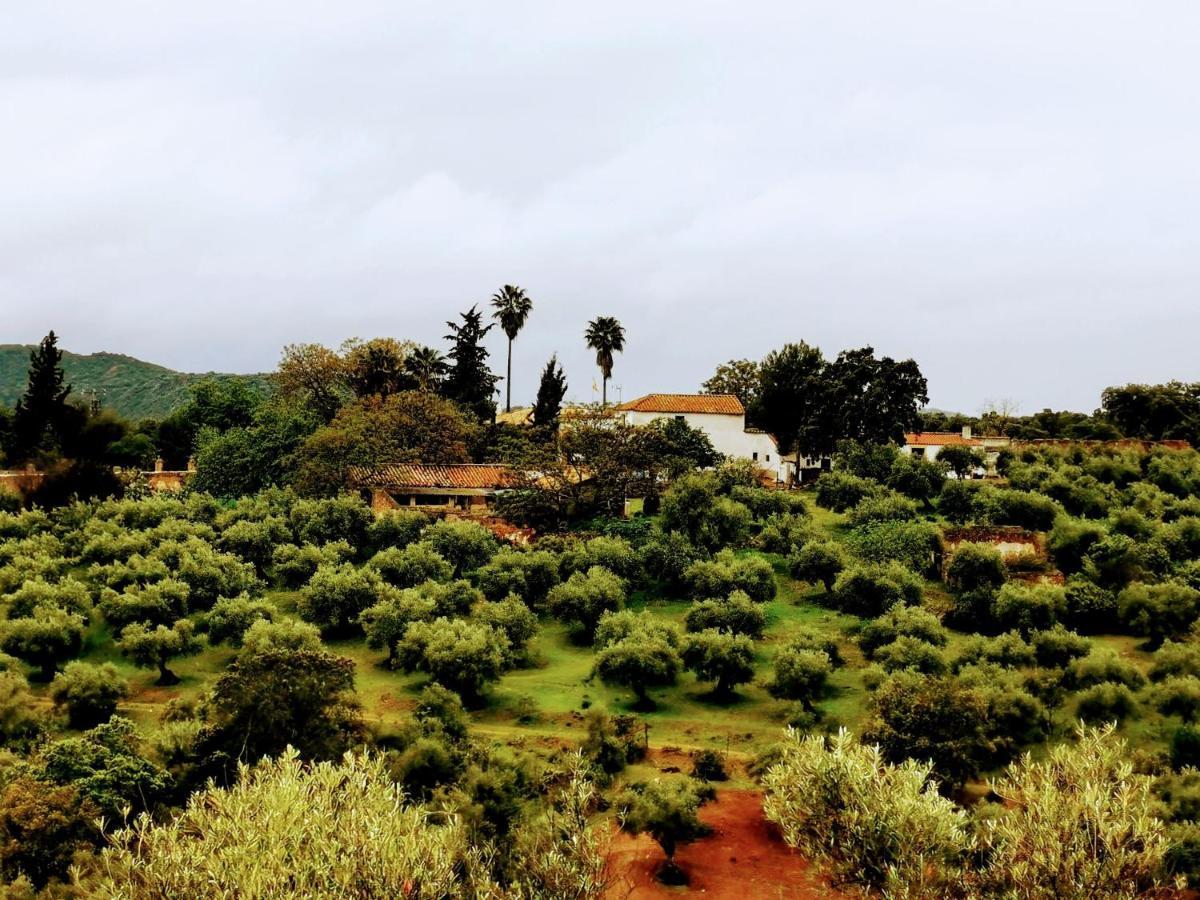 Villa La Fuensanta Hornachuelos Exterior foto